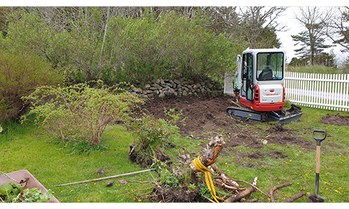 ny plantering