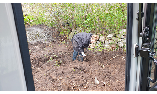 ny plantering