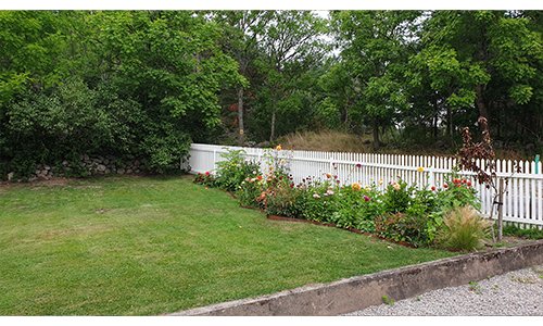 ny plantering
